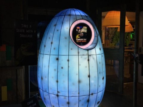 GIF photo booth in a Lantern at Edinburgh Zoo